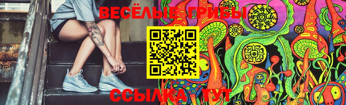 Псилоцибиновые грибы MAGIC MUSHROOMS Рубцовск