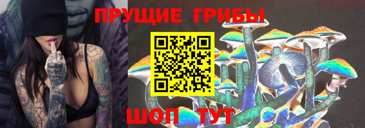 Рубцовск  Псилоцибиновые грибы мицелий  Галлюциногенные грибы GOLDEN TEACHER  Вход с VPN 